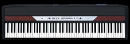 piano numérique korg sp250 - Studio Luna Rossa